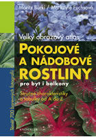 pokojove a nadobove rostliny